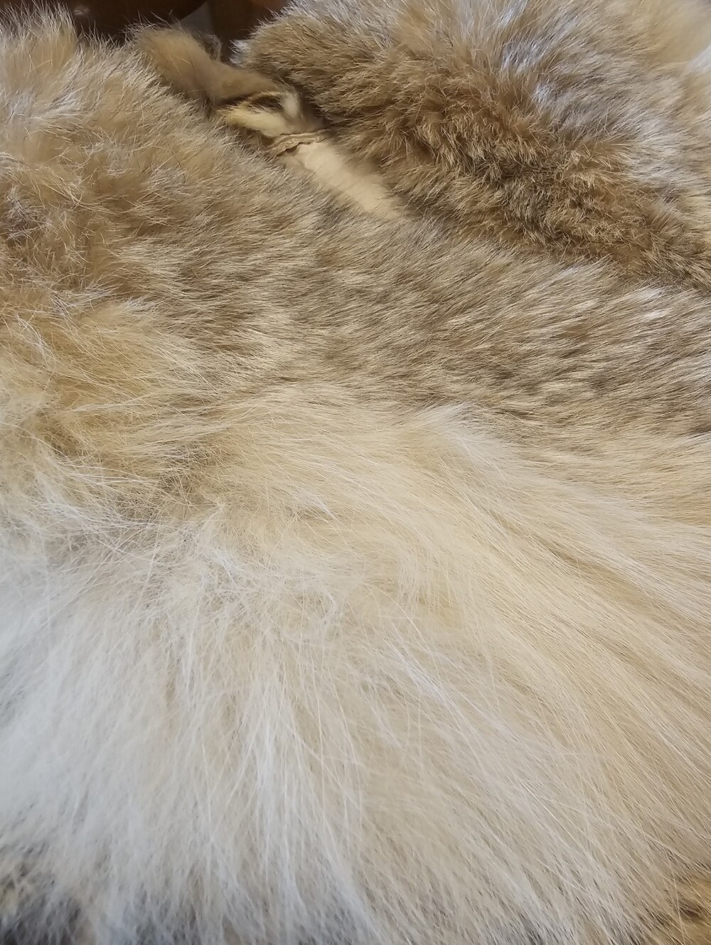 Vintage Robinson's Genuine Wild Fur & Fox Collar Coat | M.J. Monogram Mcm - Picture 14 of 15
